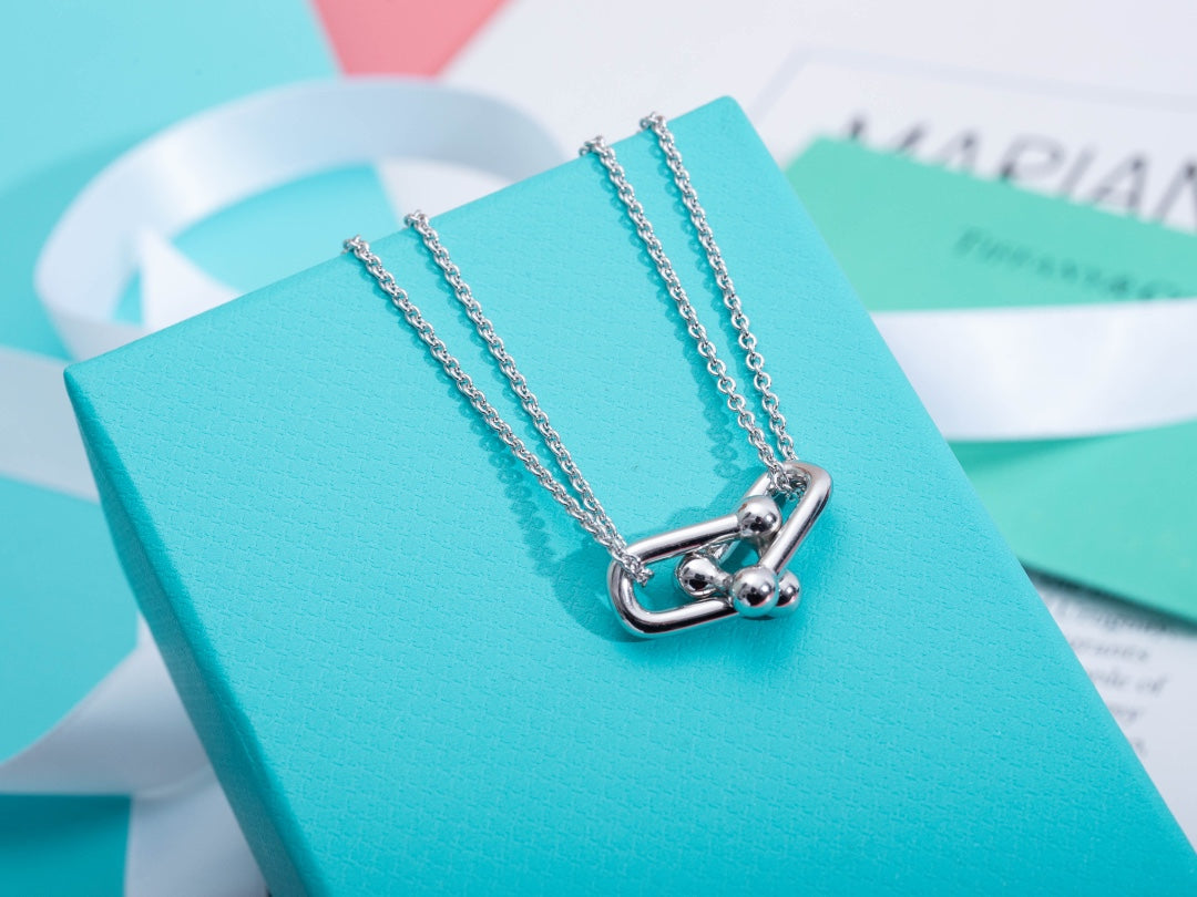 TIFFANY HARDWEAR DOUBLE LINK PEDANT SILVER NECKLACE